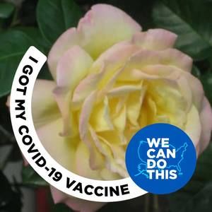 Meet your Posher, Rose